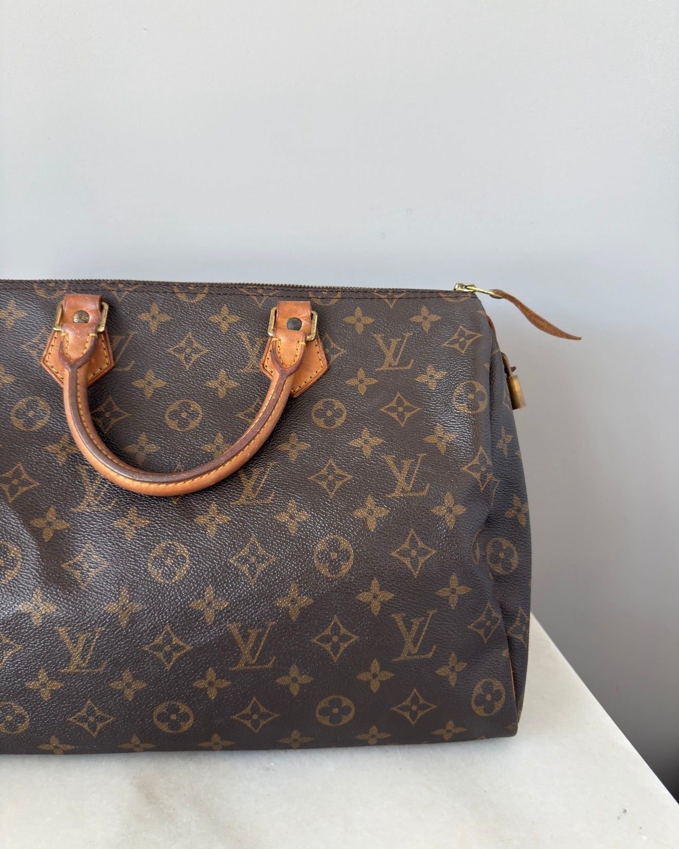 LOUIS VUITTON Speedy 35
