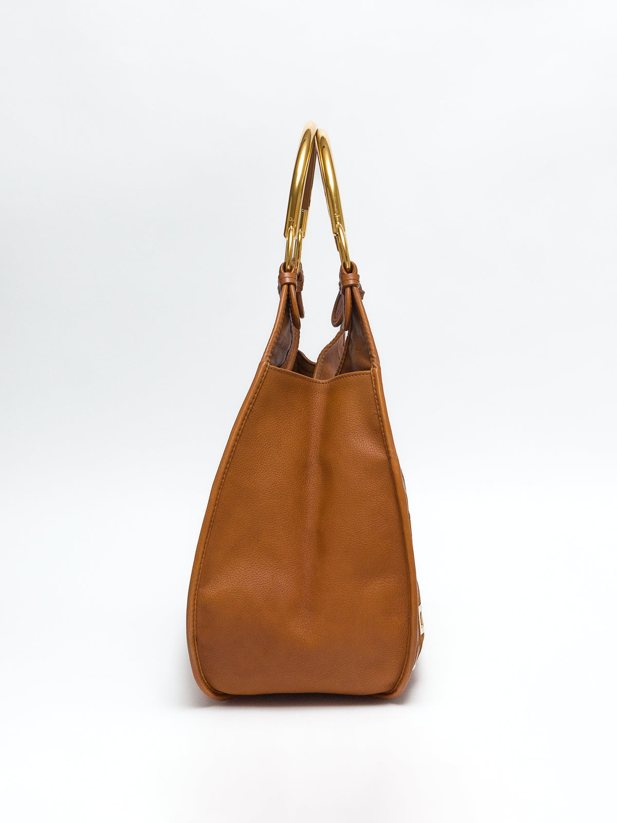 DIOR 61 Hobo