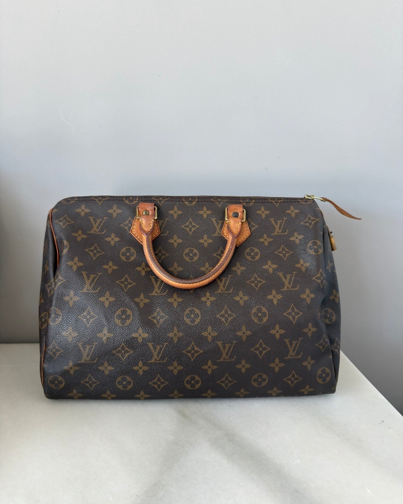 LOUIS VUITTON Speedy 35